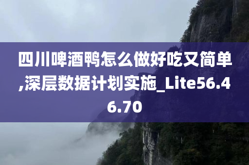 四川啤酒鸭怎么做好吃又简单,深层数据计划实施_Lite56.46.70