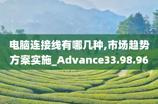 电脑连接线有哪几种,市场趋势方案实施_Advance33.98.96