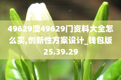 49629澳49629门资料大全怎么买,创新性方案设计_钱包版25.39.29