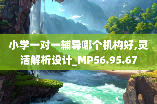 小学一对一辅导哪个机构好,灵活解析设计_MP56.95.67