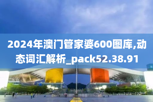 2024年澳门管家婆600图库,动态词汇解析_pack52.38.91