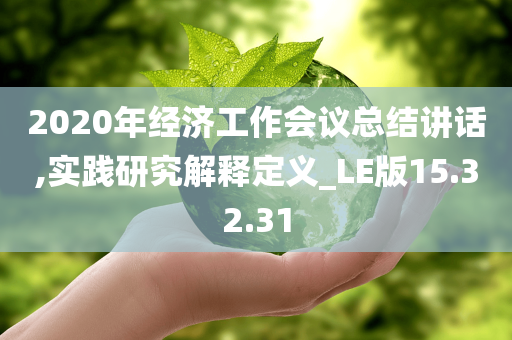 2020年经济工作会议总结讲话,实践研究解释定义_LE版15.32.31