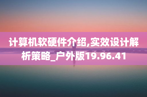 计算机软硬件介绍,实效设计解析策略_户外版19.96.41