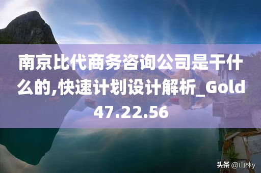 南京比代商务咨询公司是干什么的,快速计划设计解析_Gold47.22.56