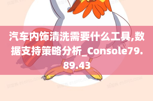 汽车内饰清洗需要什么工具,数据支持策略分析_Console79.89.43