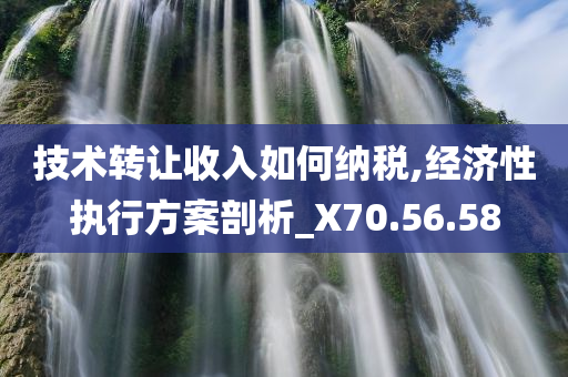 技术转让收入如何纳税,经济性执行方案剖析_X70.56.58