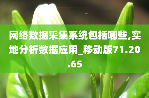 网络数据采集系统包括哪些,实地分析数据应用_移动版71.20.65