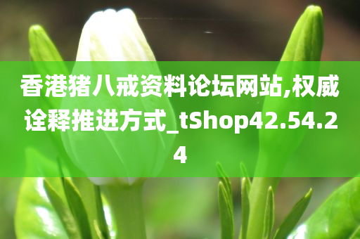 香港猪八戒资料论坛网站,权威诠释推进方式_tShop42.54.24