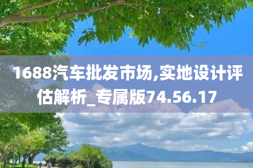 1688汽车批发市场,实地设计评估解析_专属版74.56.17