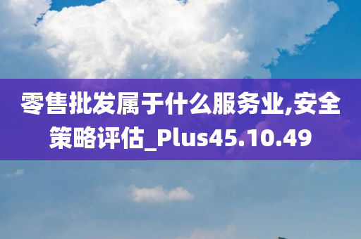 零售批发属于什么服务业,安全策略评估_Plus45.10.49