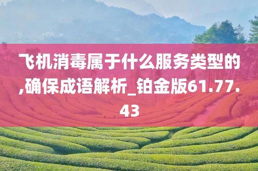 飞机消毒属于什么服务类型的,确保成语解析_铂金版61.77.43