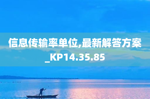 信息传输率单位,最新解答方案_KP14.35.85