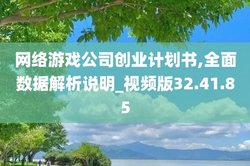 网络游戏公司创业计划书,全面数据解析说明_视频版32.41.85