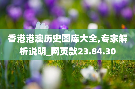 香港港澳历史图库大全,专家解析说明_网页款23.84.30