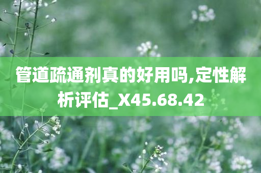 管道疏通剂真的好用吗,定性解析评估_X45.68.42