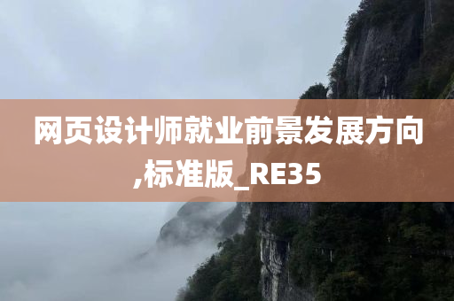 网页设计师就业前景发展方向,标准版_RE35