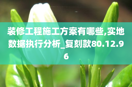 装修工程施工方案有哪些,实地数据执行分析_复刻款80.12.96