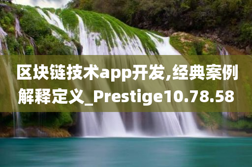 区块链技术app开发,经典案例解释定义_Prestige10.78.58