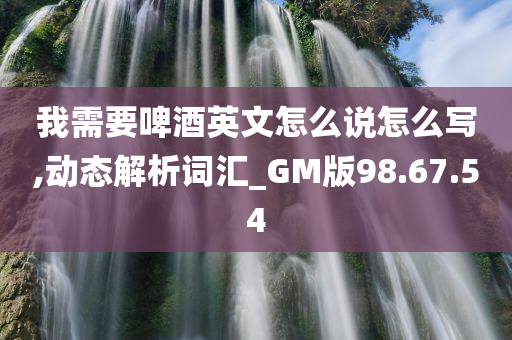 我需要啤酒英文怎么说怎么写,动态解析词汇_GM版98.67.54