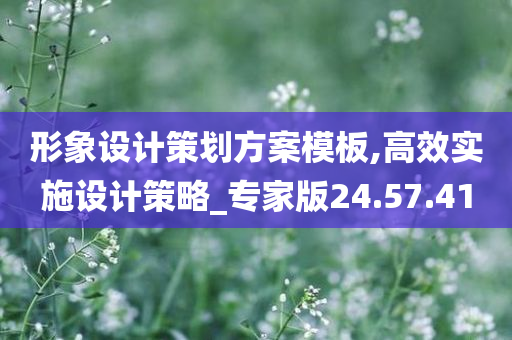 形象设计策划方案模板,高效实施设计策略_专家版24.57.41