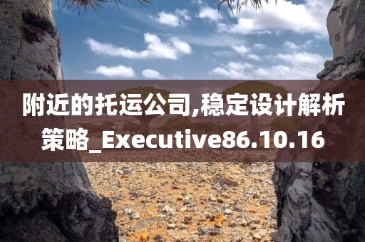 附近的托运公司,稳定设计解析策略_Executive86.10.16