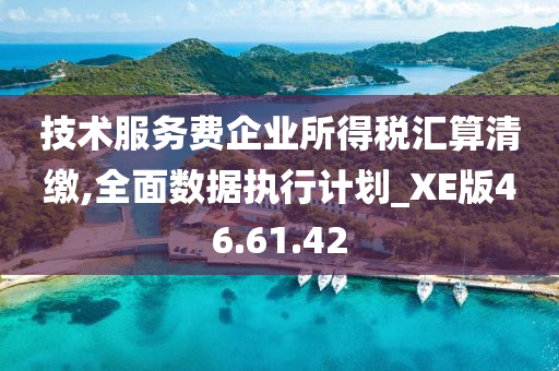 技术服务费企业所得税汇算清缴,全面数据执行计划_XE版46.61.42