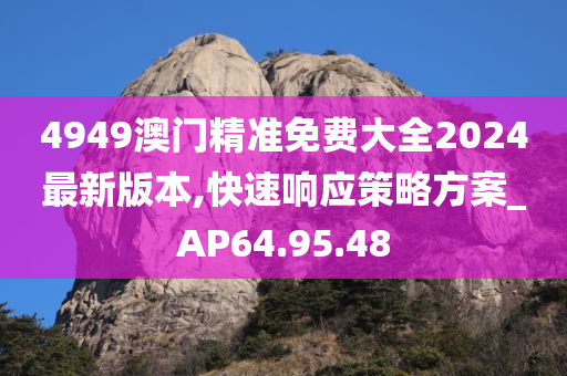 4949澳门精准免费大全2024最新版本,快速响应策略方案_AP64.95.48