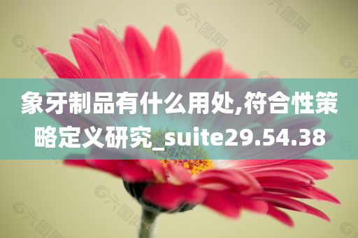 象牙制品有什么用处,符合性策略定义研究_suite29.54.38