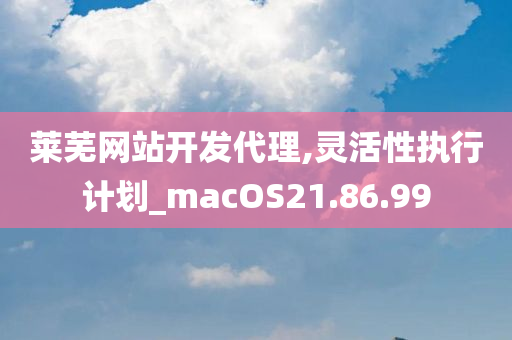 莱芜网站开发代理,灵活性执行计划_macOS21.86.99