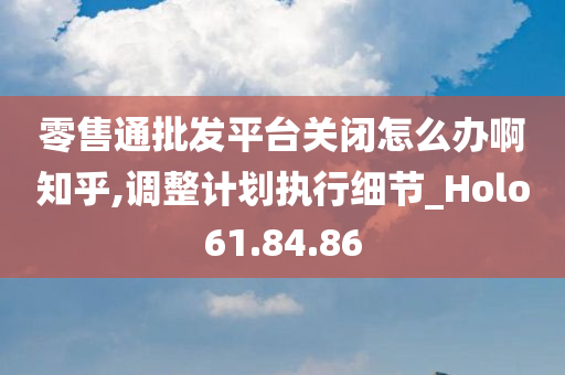 零售通批发平台关闭怎么办啊知乎,调整计划执行细节_Holo61.84.86