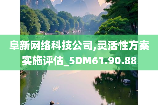 阜新网络科技公司,灵活性方案实施评估_5DM61.90.88