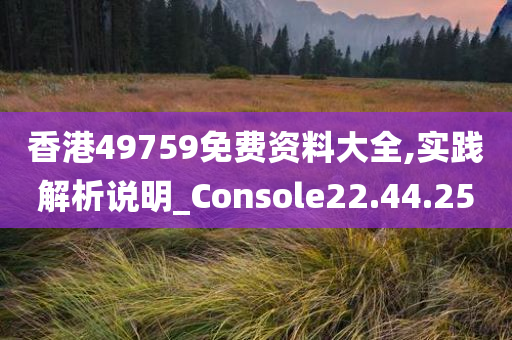 香港49759免费资料大全,实践解析说明_Console22.44.25