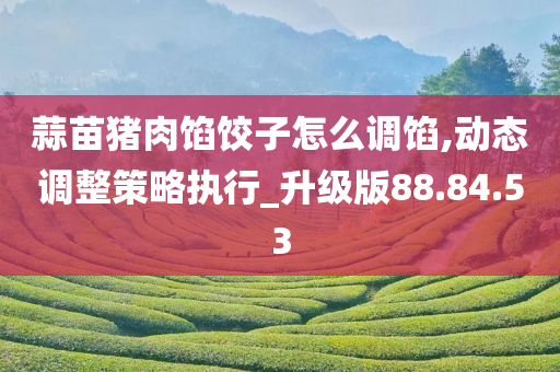 蒜苗猪肉馅饺子怎么调馅,动态调整策略执行_升级版88.84.53