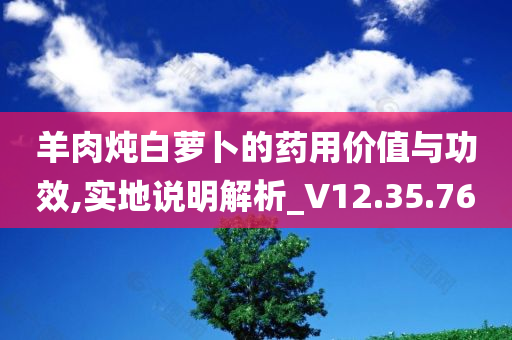 羊肉炖白萝卜的药用价值与功效,实地说明解析_V12.35.76