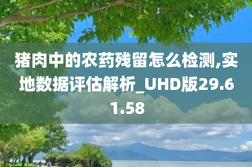 猪肉中的农药残留怎么检测,实地数据评估解析_UHD版29.61.58