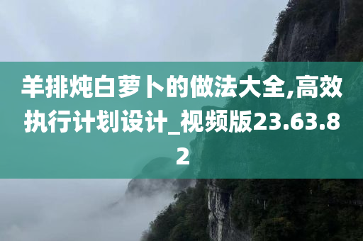 羊排炖白萝卜的做法大全,高效执行计划设计_视频版23.63.82