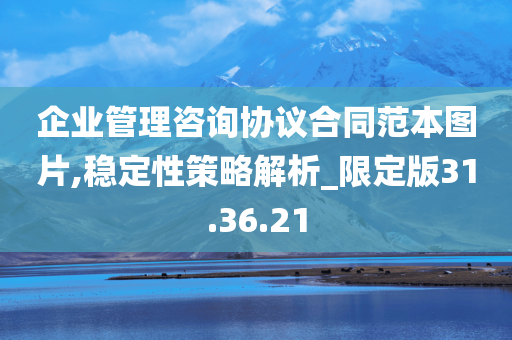 企业管理咨询协议合同范本图片,稳定性策略解析_限定版31.36.21