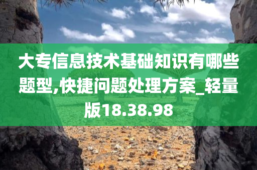 大专信息技术基础知识有哪些题型,快捷问题处理方案_轻量版18.38.98