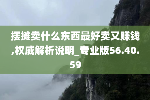 摆摊卖什么东西最好卖又赚钱,权威解析说明_专业版56.40.59