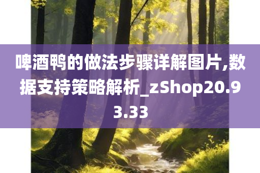 啤酒鸭的做法步骤详解图片,数据支持策略解析_zShop20.93.33