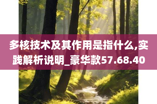 多核技术及其作用是指什么,实践解析说明_豪华款57.68.40