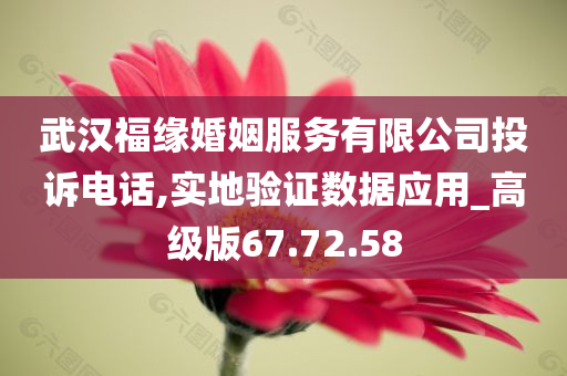 武汉福缘婚姻服务有限公司投诉电话,实地验证数据应用_高级版67.72.58