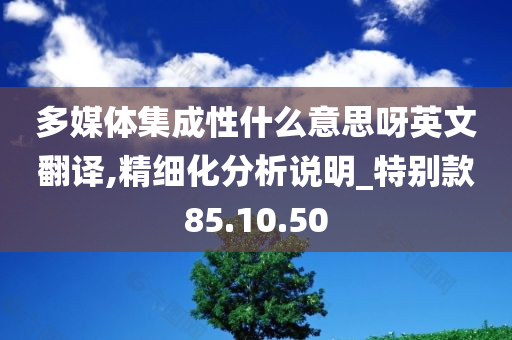 多媒体集成性什么意思呀英文翻译,精细化分析说明_特别款85.10.50