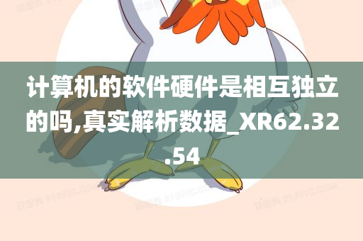 计算机的软件硬件是相互独立的吗,真实解析数据_XR62.32.54