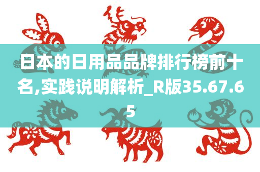 日本的日用品品牌排行榜前十名,实践说明解析_R版35.67.65
