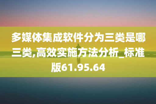 多媒体集成软件分为三类是哪三类,高效实施方法分析_标准版61.95.64