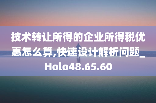 技术转让所得的企业所得税优惠怎么算,快速设计解析问题_Holo48.65.60