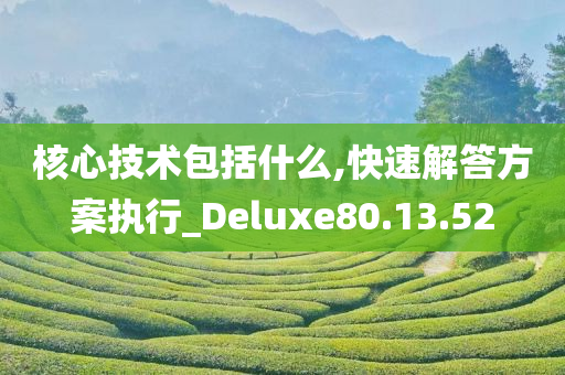 核心技术包括什么,快速解答方案执行_Deluxe80.13.52