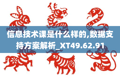 信息技术课是什么样的,数据支持方案解析_XT49.62.91