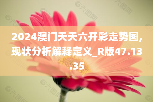 2024澳门天天六开彩走势图,现状分析解释定义_R版47.13.35